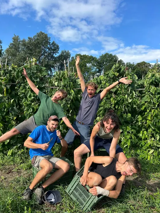 Cinq personnes posent avec des caisses devant des haricots grimpants.