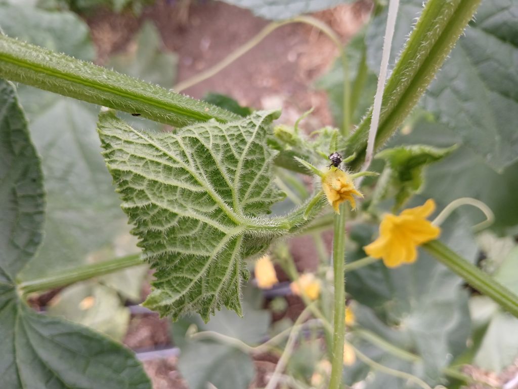 20260713_165239.jpg